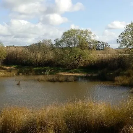 Prázdninový dům Casa D Amelia Óbidos