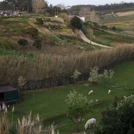 Casa D Amélia Nyaraló Óbidos