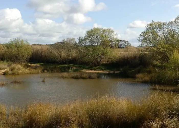 Feriehus Casa D Amelia Óbidos